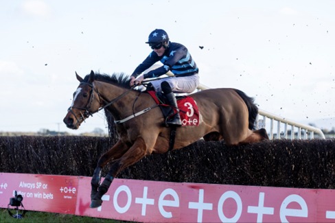Navan Race Cards 14 December meeting preview