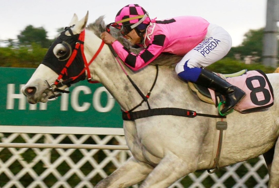 Concepción Racecards 23 December – Empedocles Leads 10-Race Evening