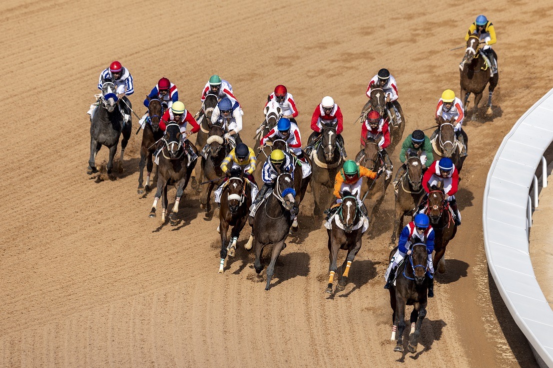 Saudi Arabia race cards 5 December at King Abdulaziz Racecourse, Saudi Arabia race cards 5 December