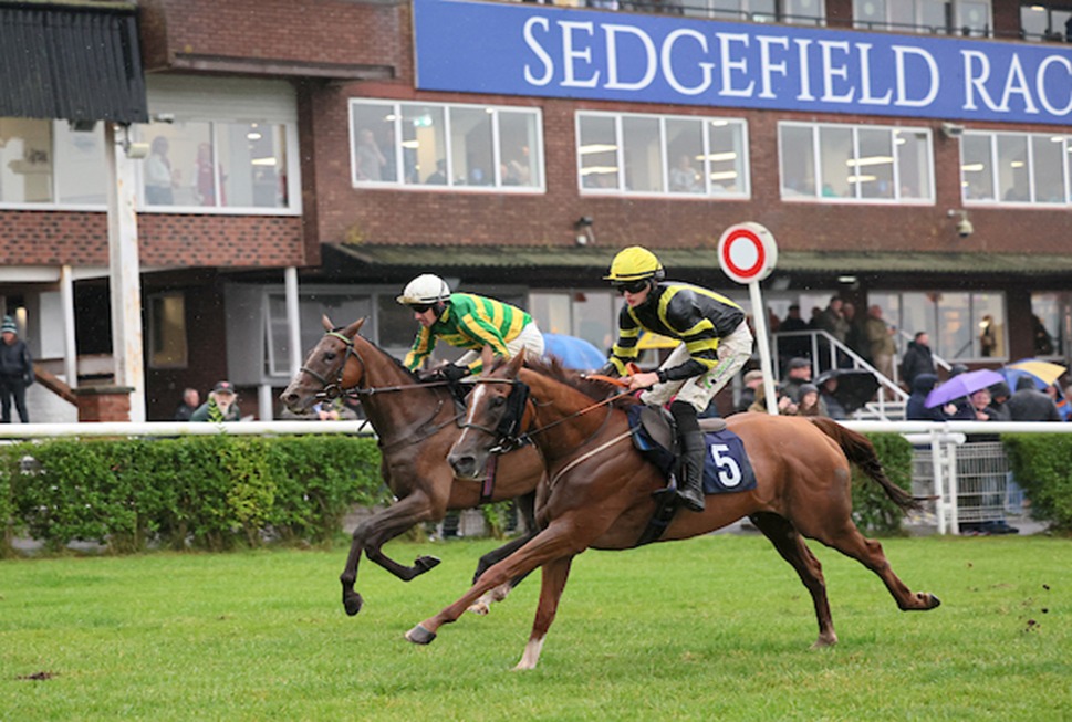 Sedgefield Race Cards 26 December on Boxing Day