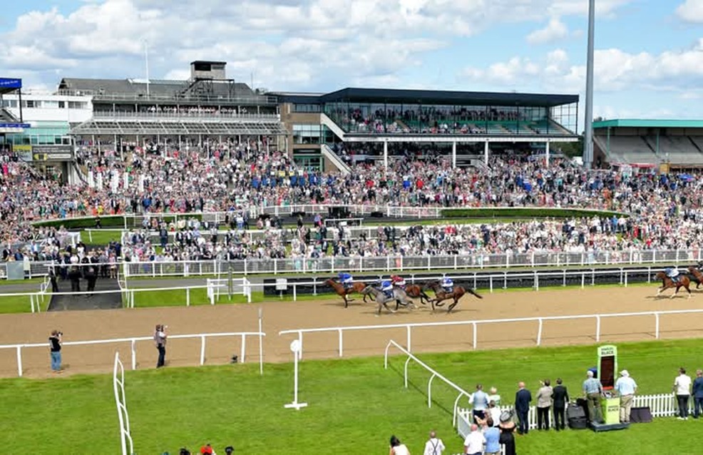Horses racing on the Tapeta surface at Newcastle Race Cards 29 December