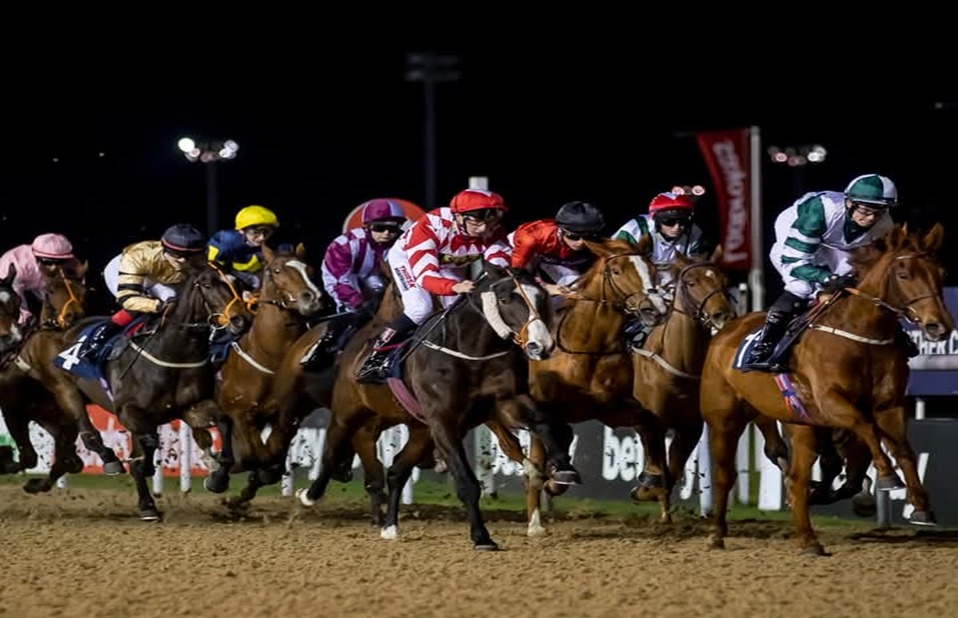 Wolverhampton Race Cards 30 December at Dunstall Park