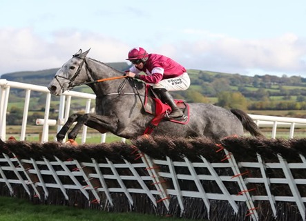 Punchestown Race Cards 9 December meeting overview