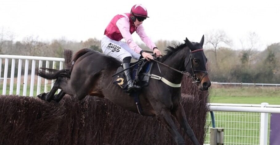 Warwick racecards 11 December Christmas raceday preview