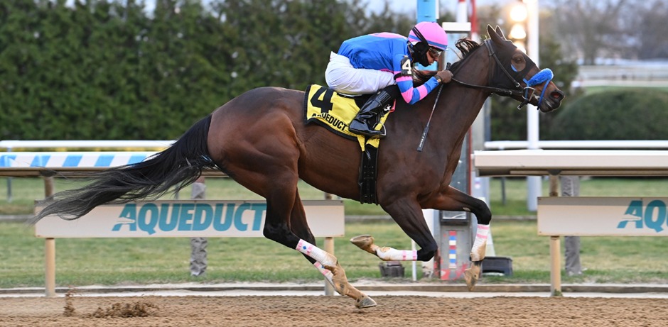 Aqueduct Race Cards 6 December preview and stakes day highlights