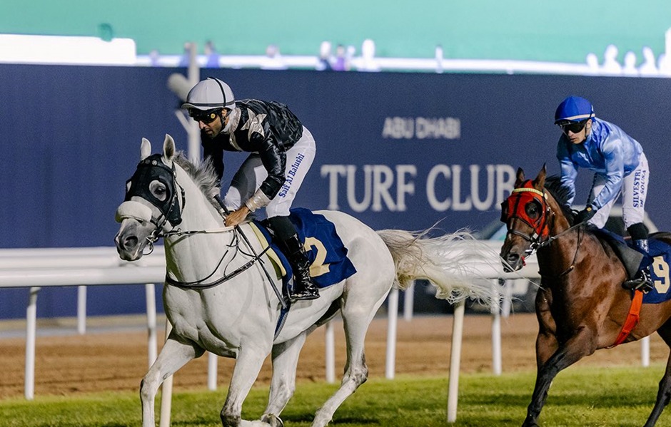 Abu Dhabi Racecards 14 December evening racecard under lights