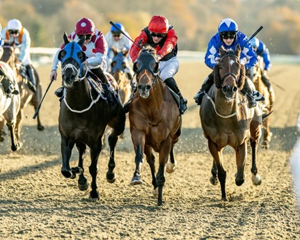 Lingfield Park Race Cards 8 December