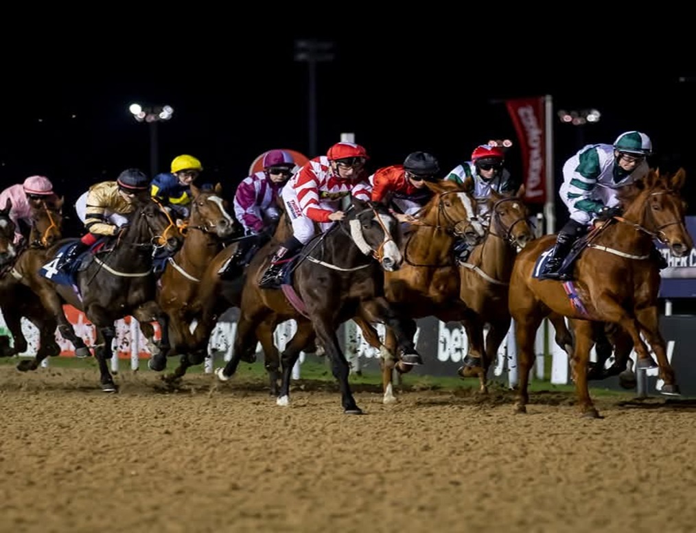 Wolverhampton Race Results 22 December during evening racing