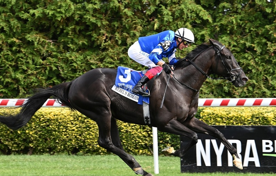 Horses warming up at Aqueduct Racecards 11 December