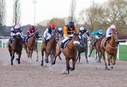 Southwell Race Cards 12 December meeting preview