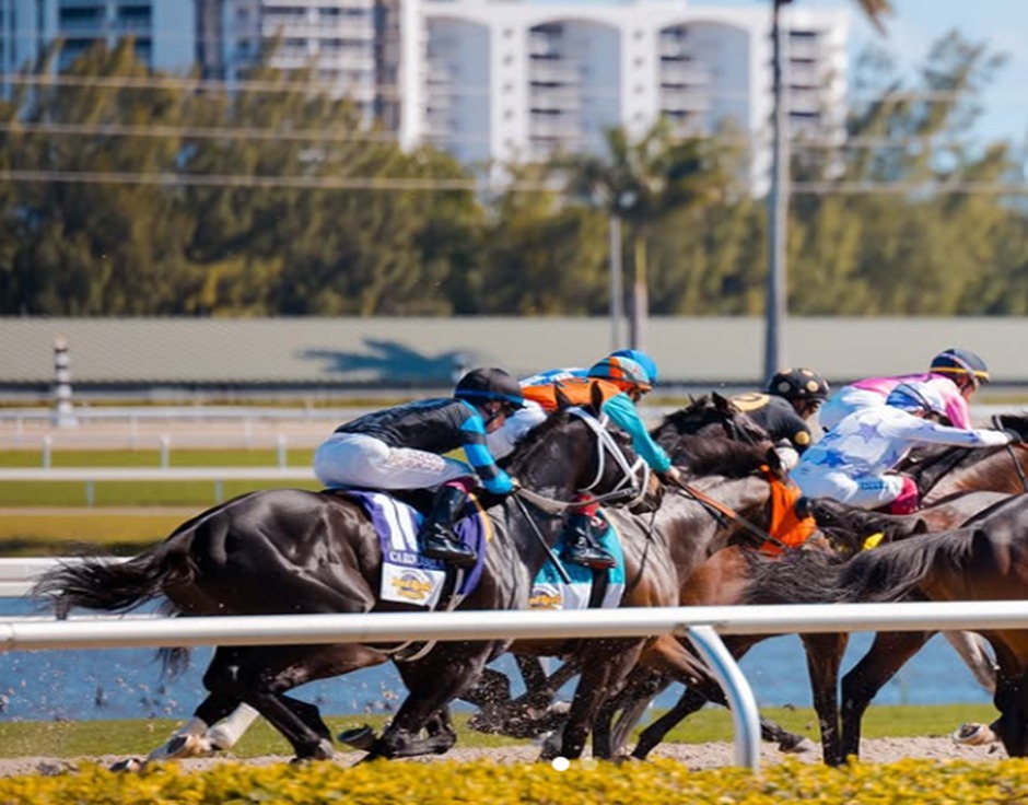 Gulfstream Park Racecards 24 December build toward nine-race midweek card