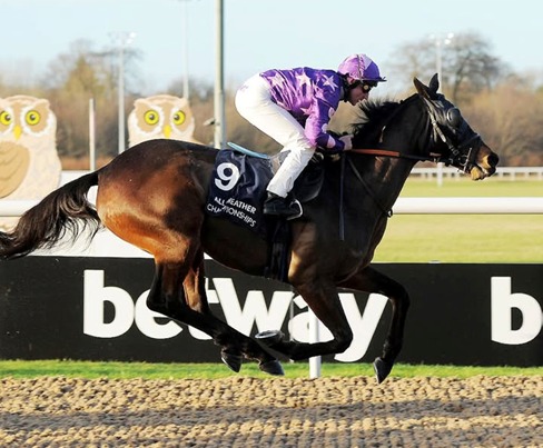 Wolverhampton Race Cards 15 December all-weather evening racing