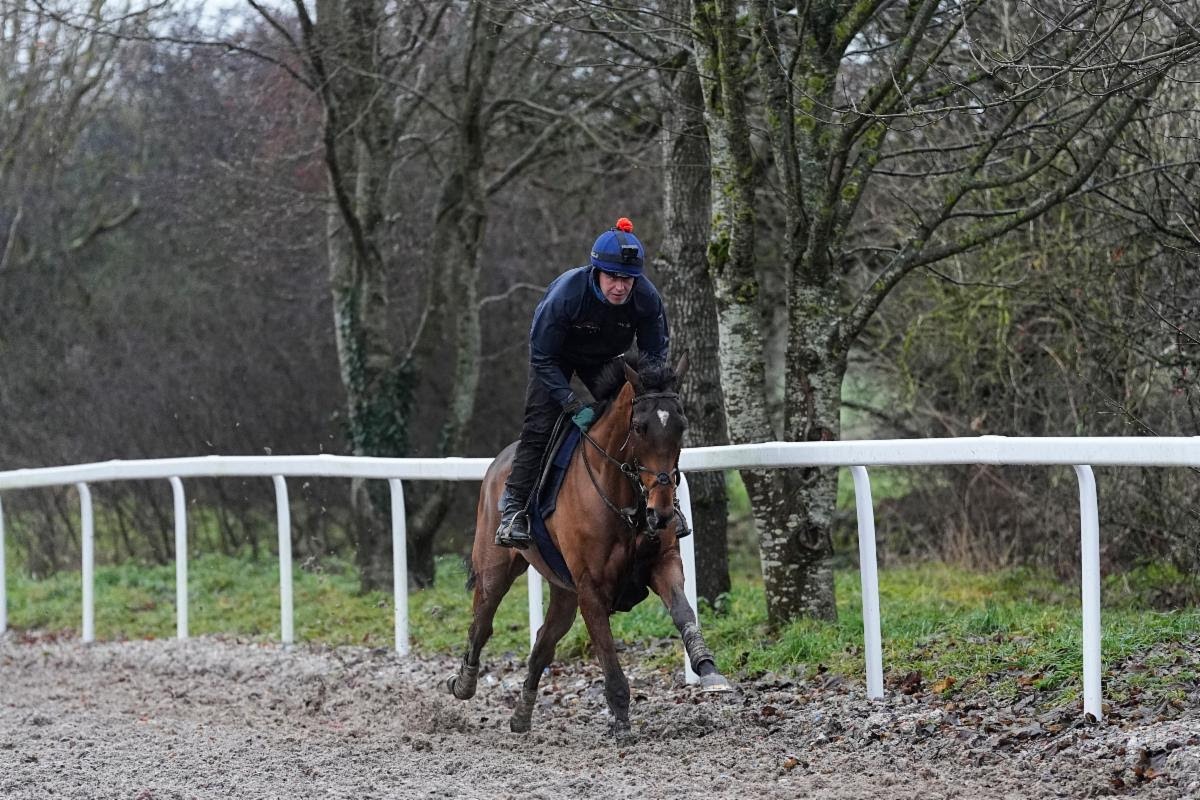 The Jukebox Man training for Ben Pauling King George challenge