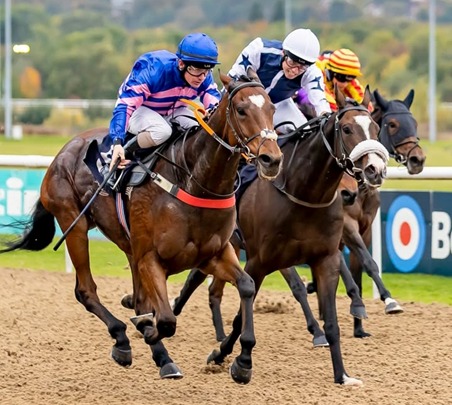 Wolverhampton Racecourse all-weather racing under lights