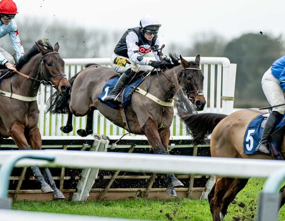 National Hunt racing at Fontwell Park Race Cards 26 December