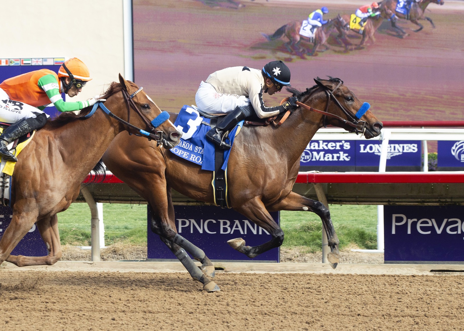 Hope Road schooling at Del Mar ahead of the Bayakoa Stakes 2025