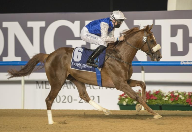 RB Frynchh Dude at the Dubai Racing Carnival 13 December meeting