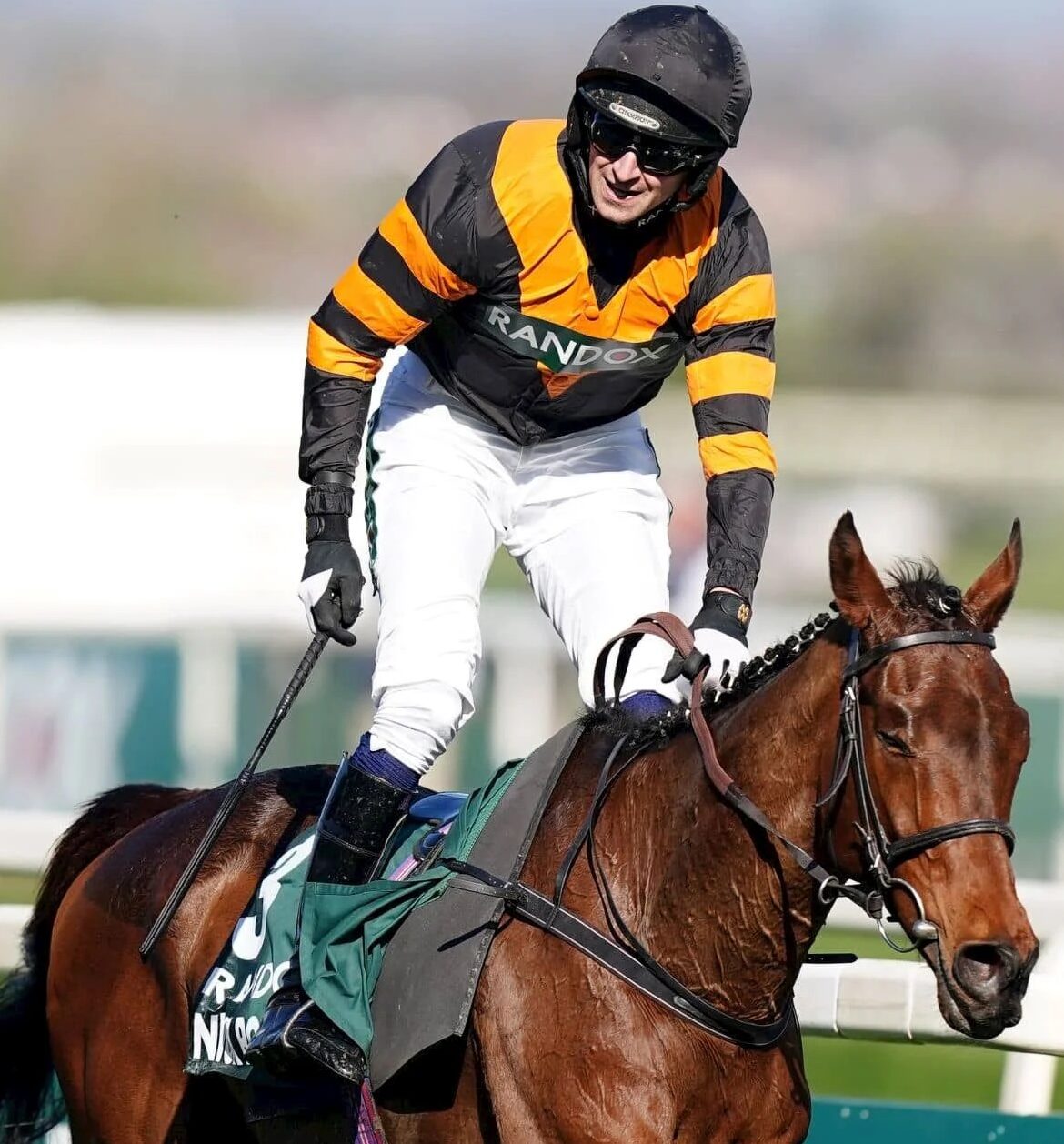 Aintree race cards 26 December contenders parading before racing