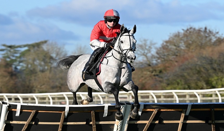 Wincanton Race Cards 16 December