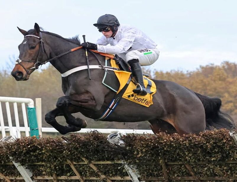 Newcastle Race Cards 16 December evening racing preview