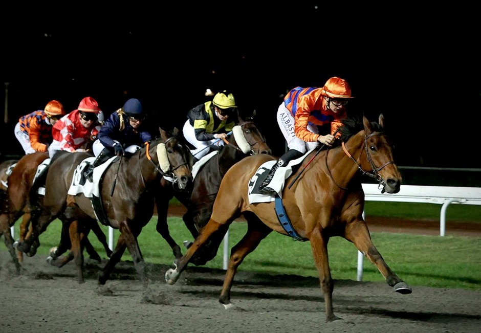 Floodlit evening at Marseille-Vivaux Racecards 16 December