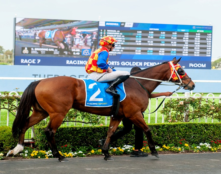 Boxing Day 2025 : Royal Randwick Race Cards 26 December