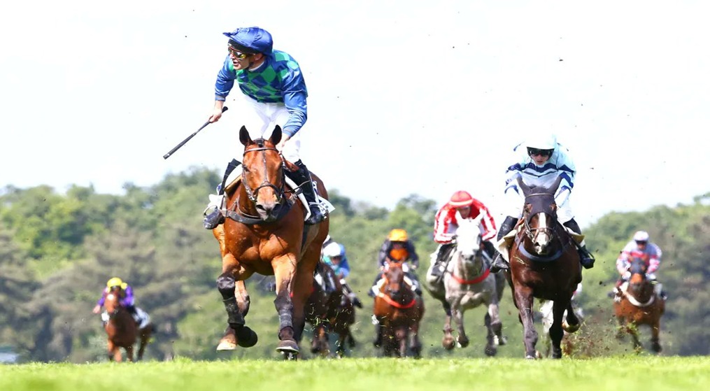 Horses jumping during winter racing at PAU Race Results 24 December