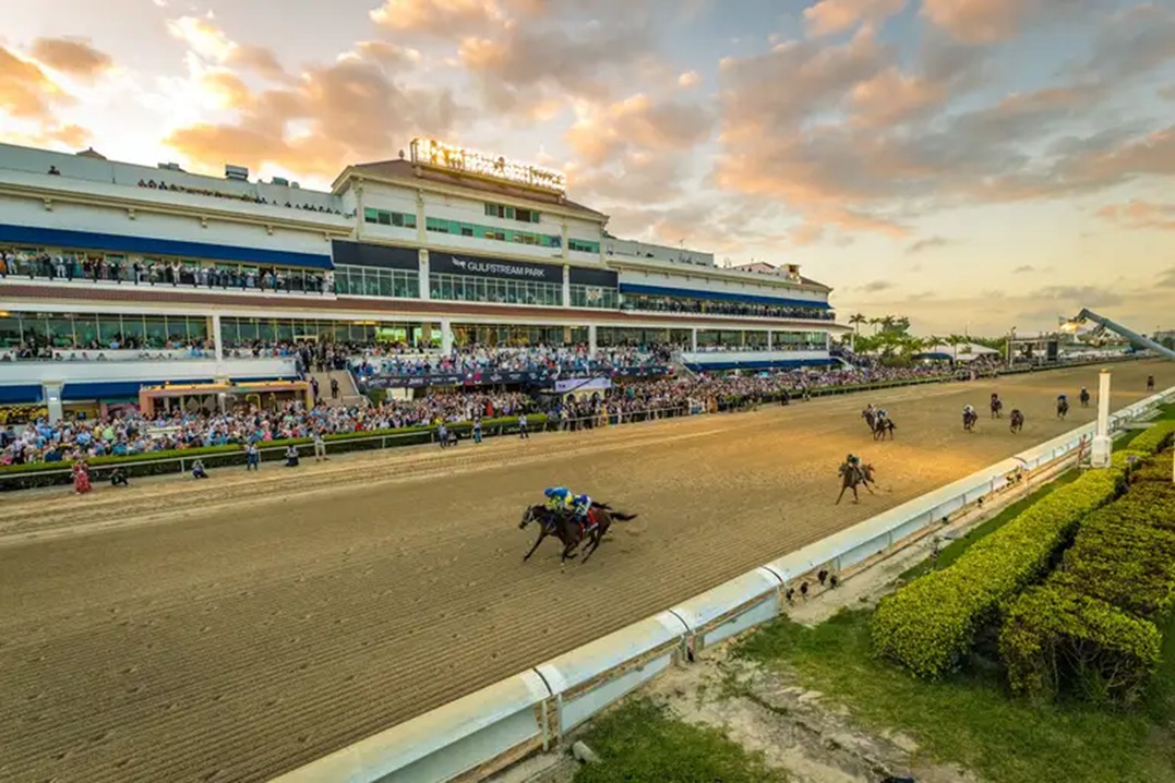 Gulfstream Park Racecards 18 December at the Championship Meet