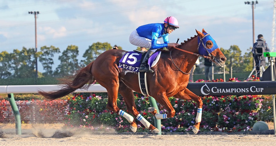 Chukyo race cards 7 December full preview and runners