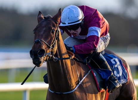 Punchestown Race Cards 11 December overview with jump racing action