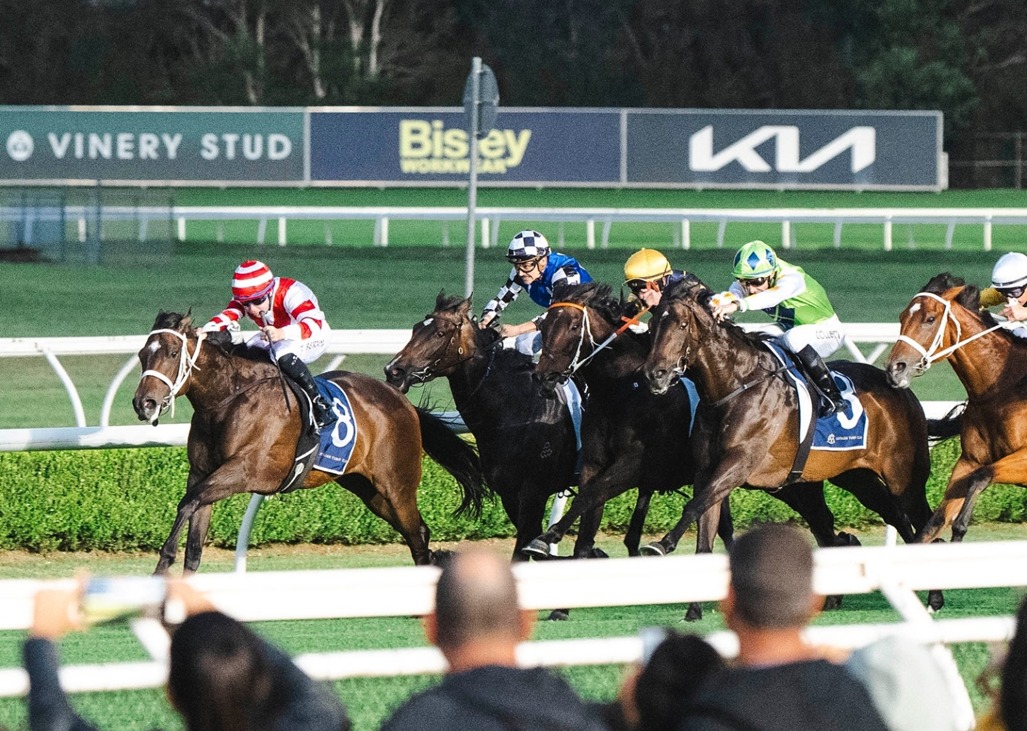 Canterbury Park race results 19 December featuring Zulfiqar winning the Kia Evening Star