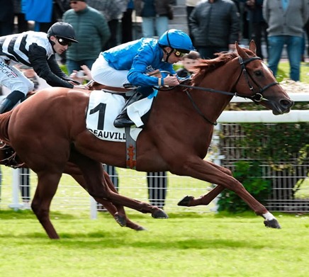 Deauville Race Cards 22 December: Deauville racecourse during winter Flat racing