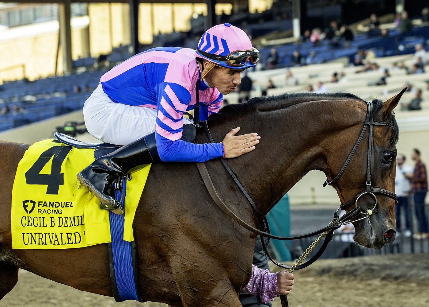 Horses breaking from the gate at Del Mar on 30 November race day