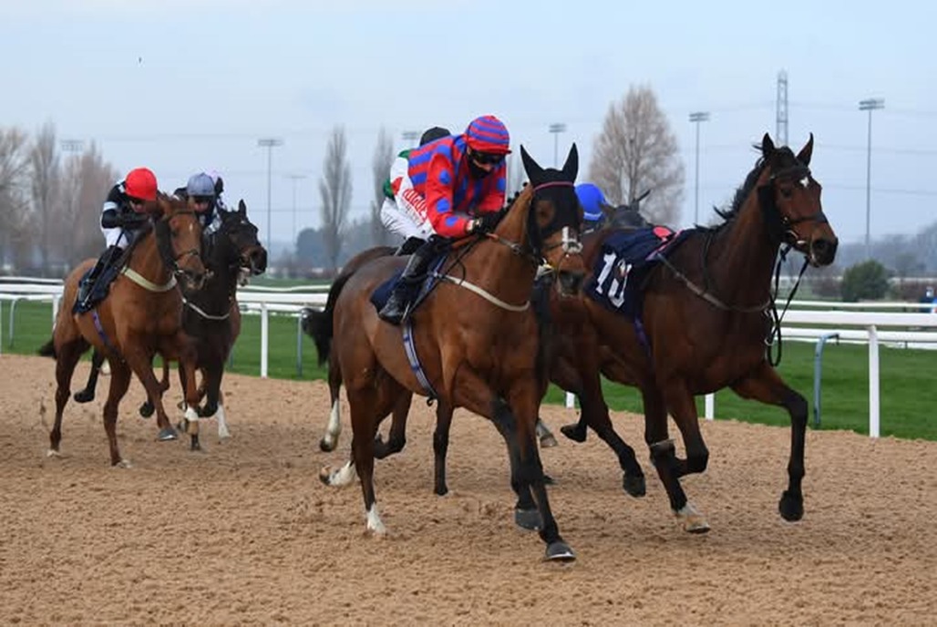 Southwell Race Cards 19 December Tapeta track during winter racing