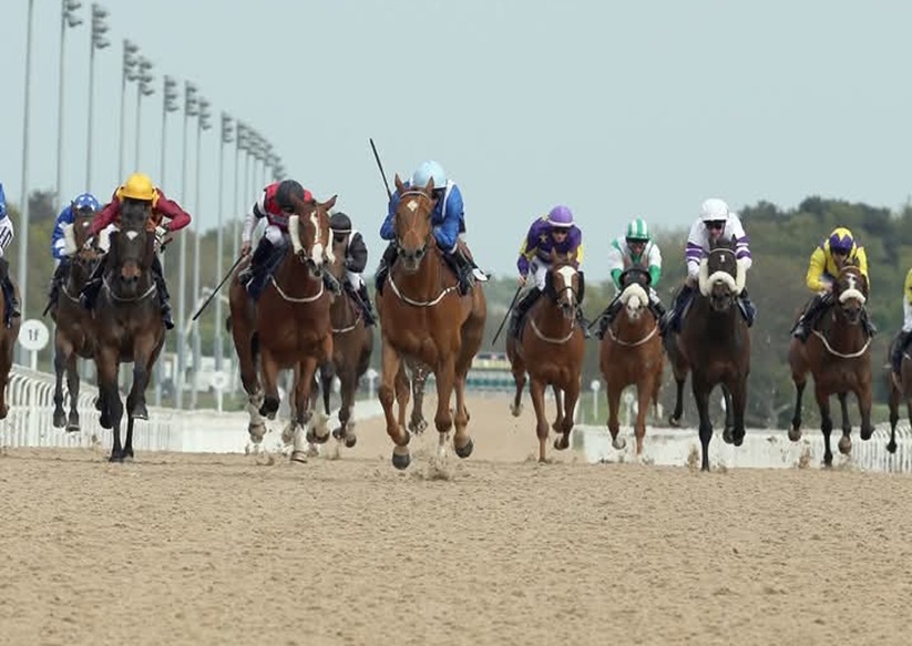 Newcastle Race Results 29 December racing action