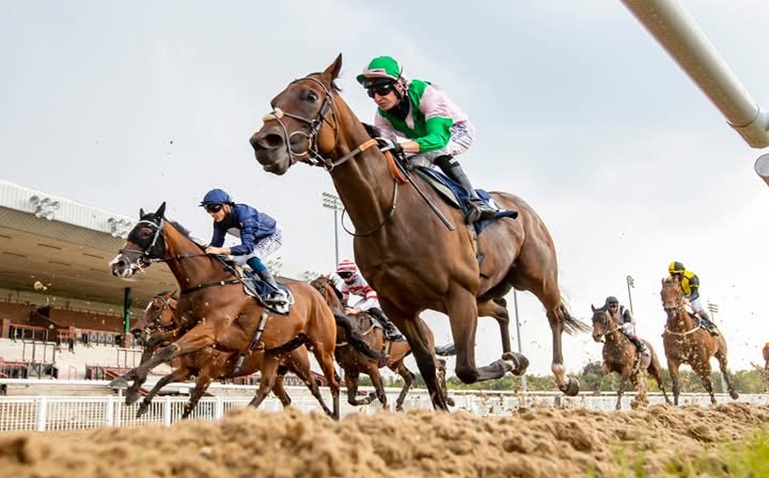 Wolverhampton all-weather racing under floodlights on 30 December
