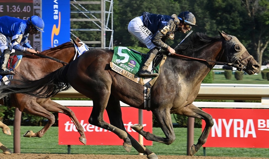 Horses preparing for Aqueduct race cards 7 December