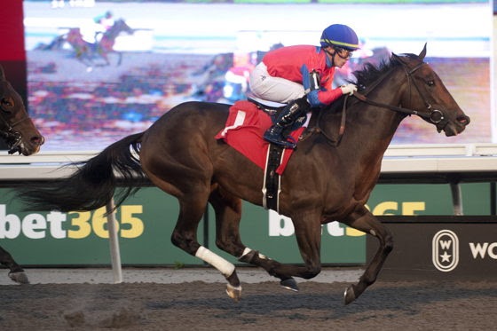 Hint La Prevoyante Stakes filly racing at Woodbine