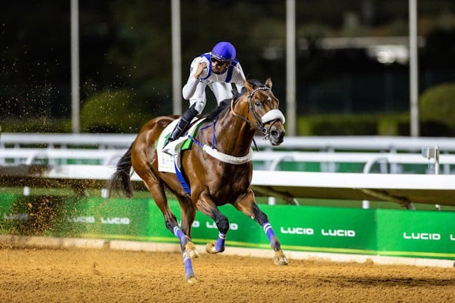 Scotland Yard returns in the King Abdulaziz JSCA Cup at King Abdulaziz Racecourse
