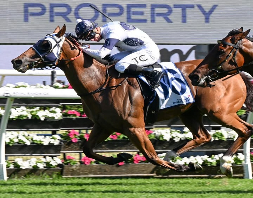 Royal Randwick Race Cards 20 December TAB Plate feature race