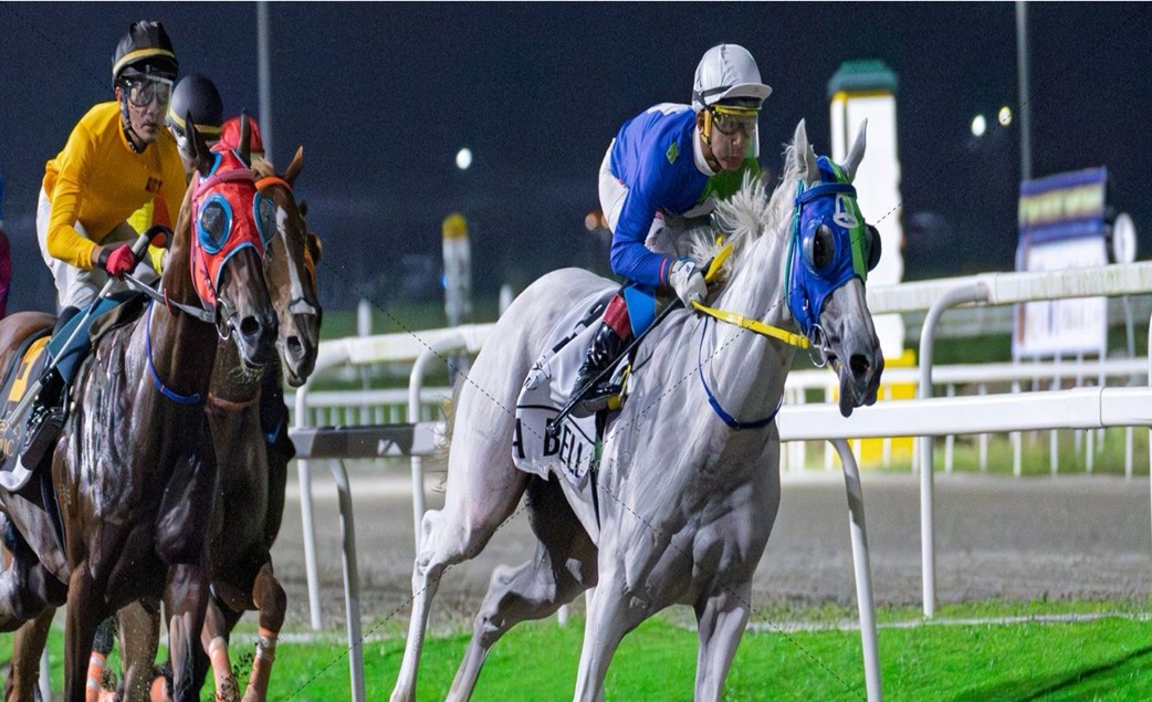 Philippine Racecards 26 December evening racing at Philippine Jockey Club