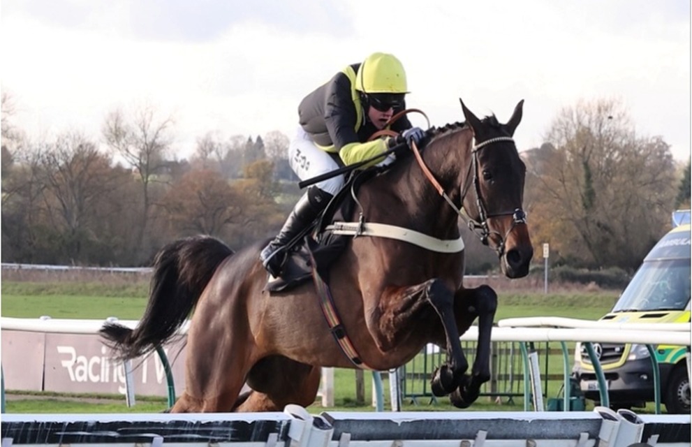 Horses preparing for the Warwick Race Cards 31 December National Hunt fixture