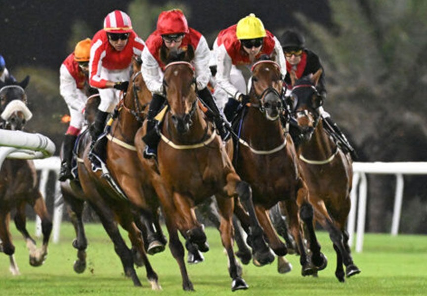 Bahrain racecards 2 January – AL RIFFA and AL DANA feature races