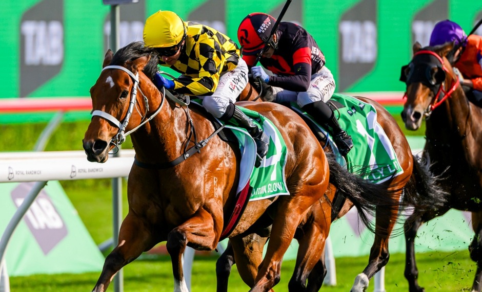 rosehill garden race cards 7 december