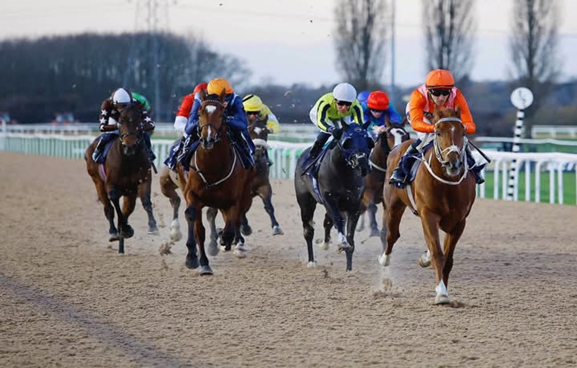 Southwell Race Cards 18 December all-weather racing