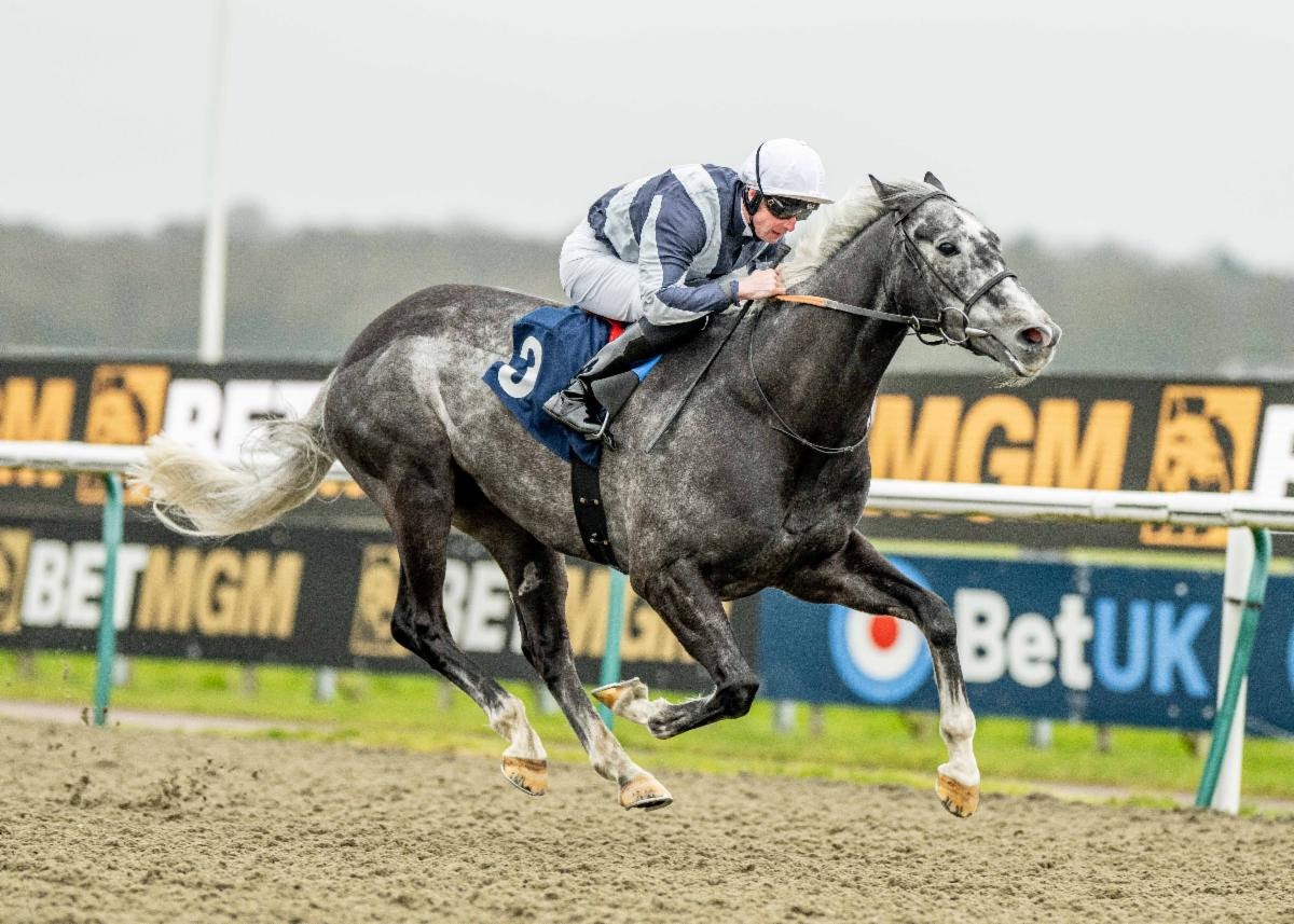 Tyrrhenian Sea racing at Lingfield Park