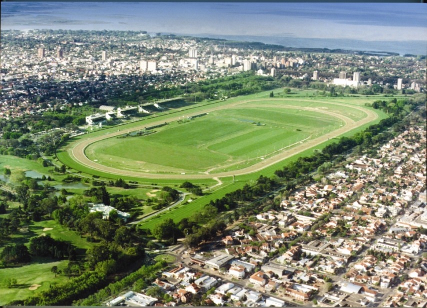 Horses preparing for the Pellegrini Group 1 Field at San Isidro