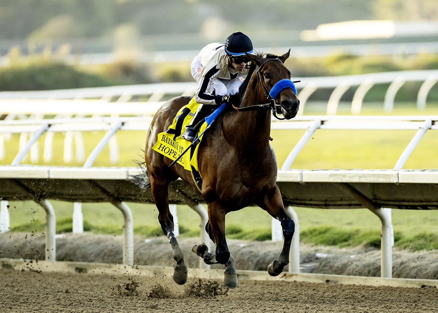 Hope Road winning the Bayakoa Stakes in the Del Mar race result 30 November