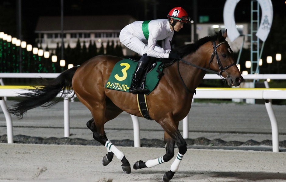 Hanshin Racecards 21 December featuring Asahi Hai Futurity Stakes G1