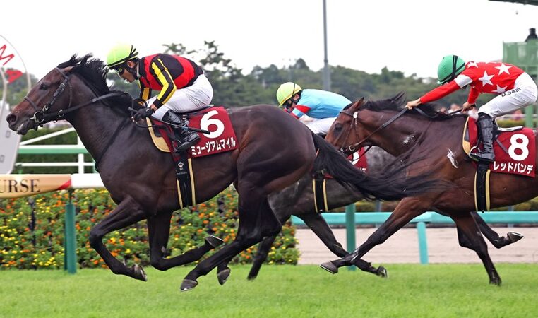 Hanshin Race Cards 27 December hosting a high-value December race meeting